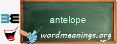 WordMeaning blackboard for antelope